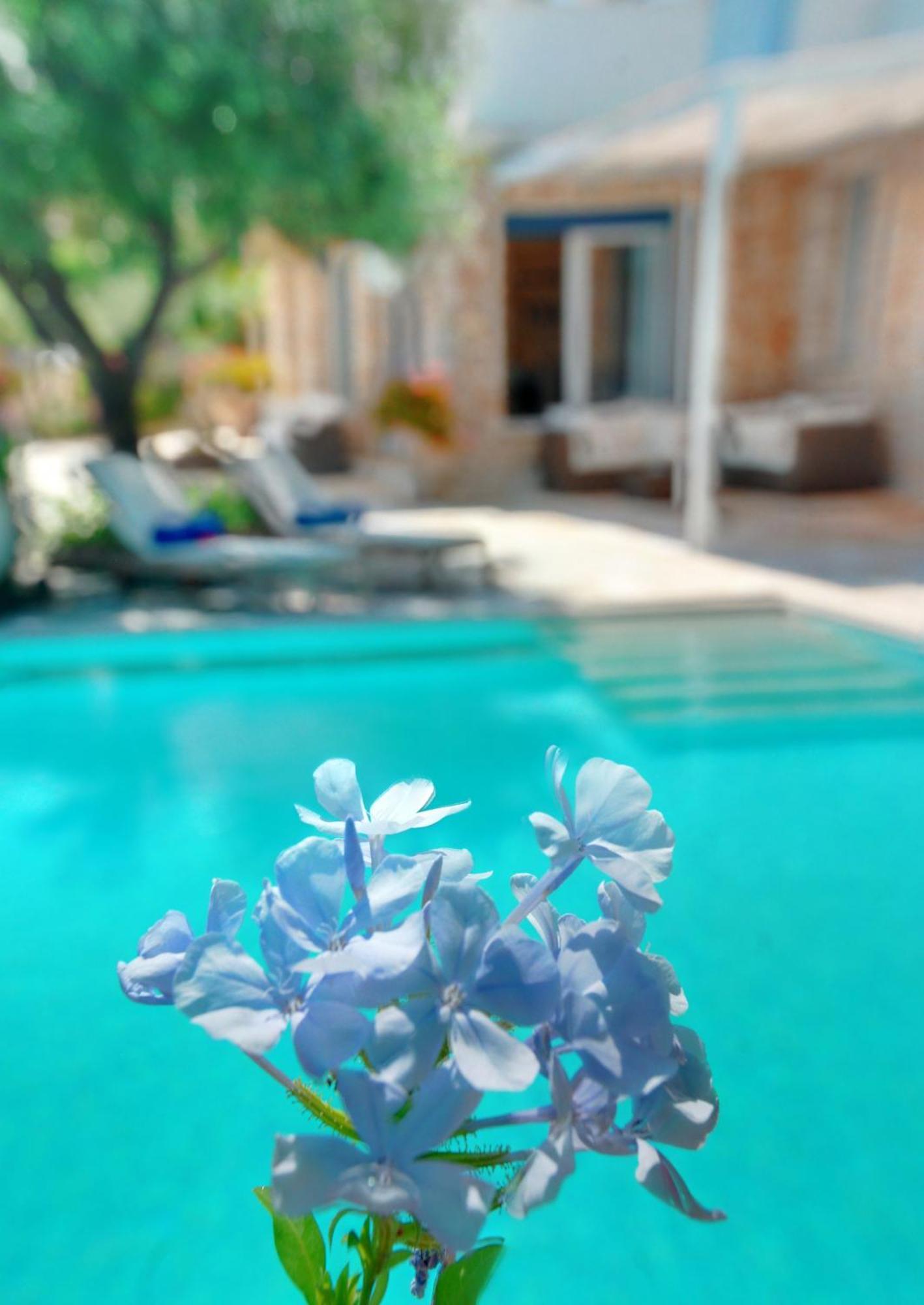 Corfu Luxury Villas Barbati Bilik gambar
